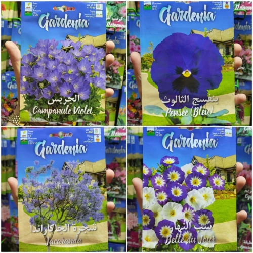 Semences fleurs/ زريعة الورد و الأزهار