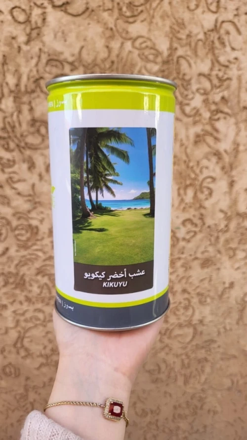 Semence gazon (kikuyu)