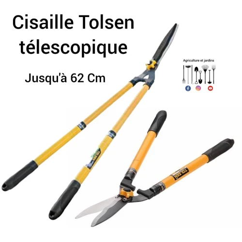 Cisaille tolsen télescopique 