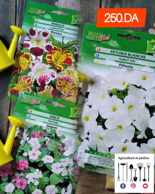 Semences fleurs (partie 2)