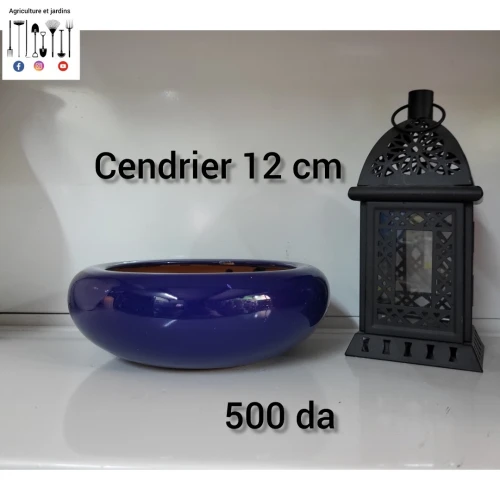 Pot pour bonsaï 12 cm