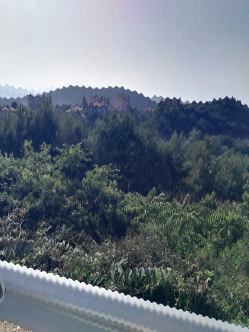 Vente Terrain Béjaïa Bejaia