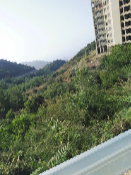 Vente Terrain Béjaïa Bejaia