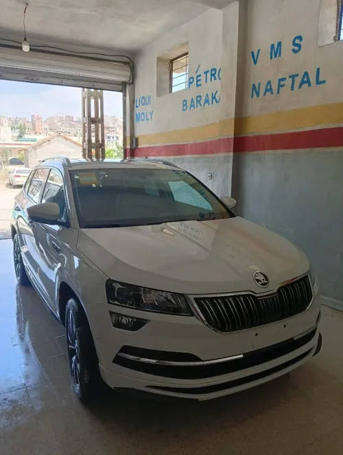 Skoda Karoq 2025 Karoq