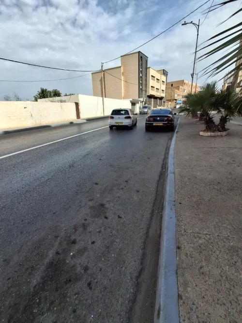 Location Local Alger Hammamet