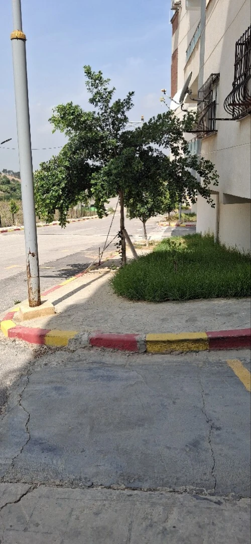 Vente Appartement F3 Alger Douera 8