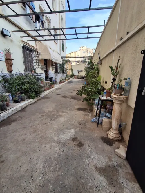 Location Appartement F6 Alger Hammamet