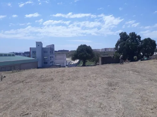 Vente Terrain Alger Douera