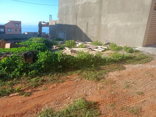 Vente Terrain Tipaza Ain tagourait