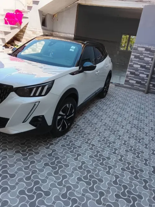 Peugeot 2008 2021 Erg