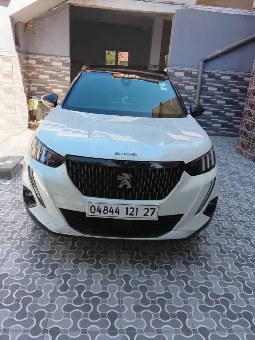 Peugeot 2008 2021 Erg