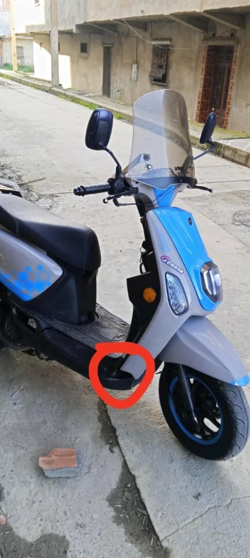 VMS estate x 2025