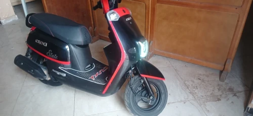 Cuxi Vms 2022