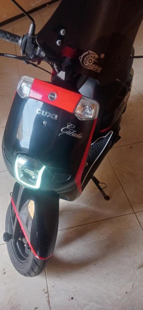 Cuxi Vms 2022