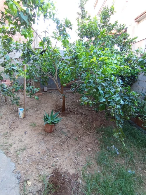 Vente Villa Alger Bordj el kiffan
