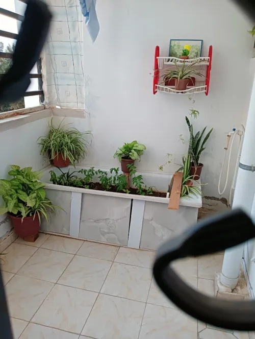 Vente Appartement F3 Alger Ouled fayet
