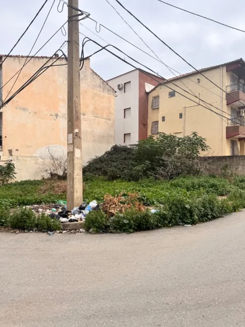 Vente Terrain Tipaza Tipaza