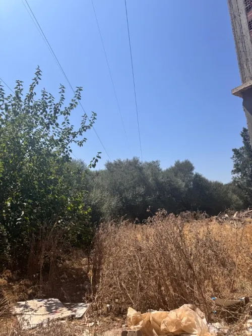 Vente Terrain Alger Ouled chebel