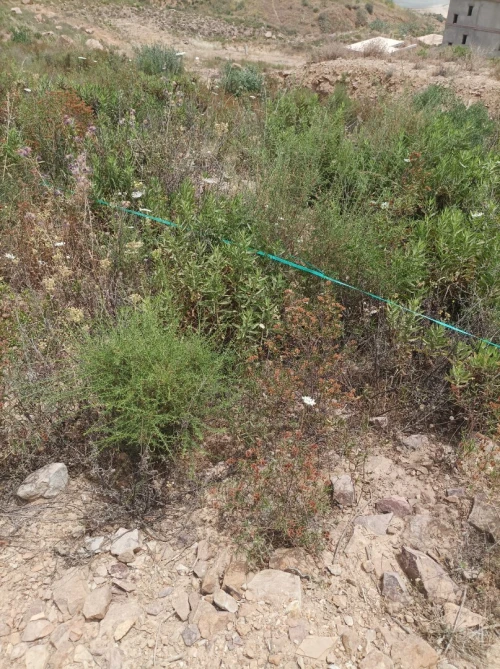 Vente Terrain Béjaïa Oued ghir