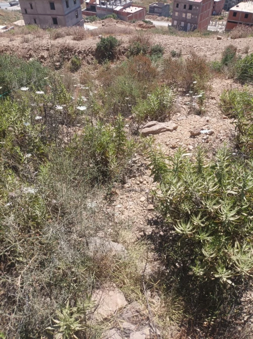 Vente Terrain Béjaïa Oued ghir
