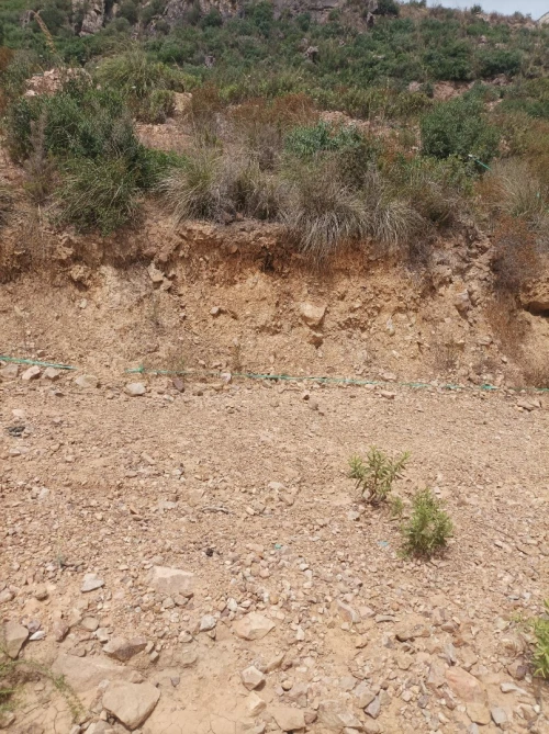 Vente Terrain Béjaïa Oued ghir