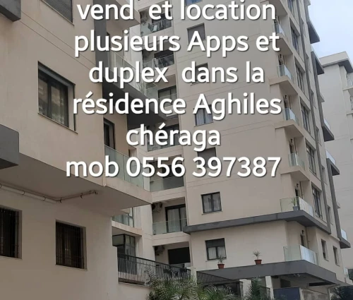 Location Appartement F4 Alger Cheraga