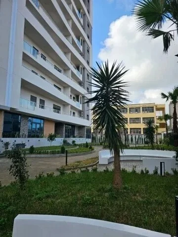 Location Appartement F3 Alger Cheraga