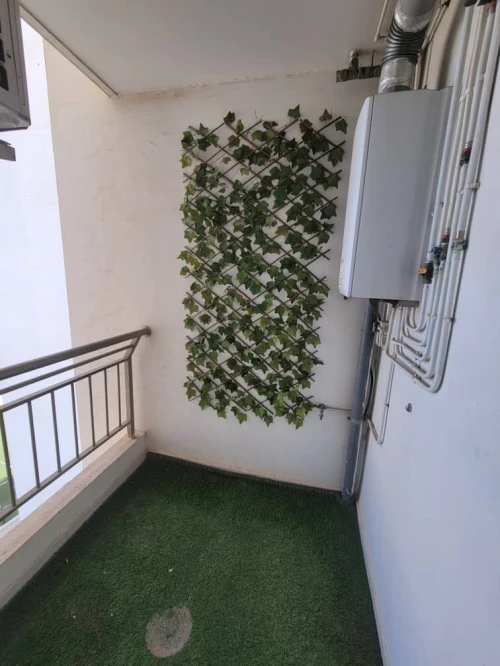 Location Appartement F4 Alger Cheraga
