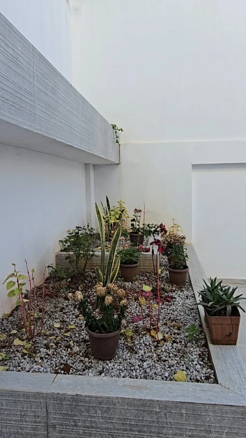 Vente Villa Alger Ouled fayet
