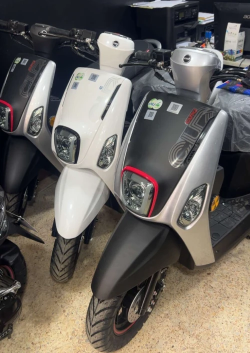 VMS Cuxi 2 2025