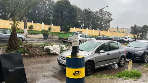 Location Local Alger Chevalley