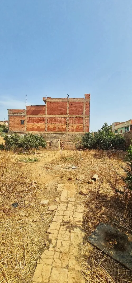 Vente Terrain Aïn Témouchent El malah