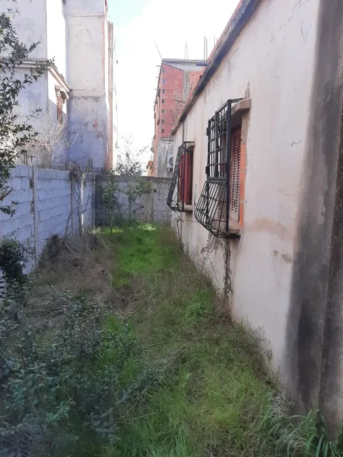 Vente Appartement El taref El kala