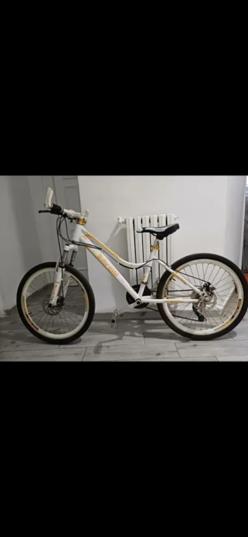 Vélo Baby Gâté Baby Gâté 24 pouces 