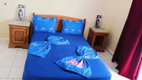 Location Appartement Studio Alger Bab ezzouar