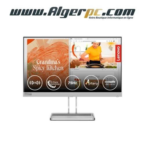 Ecran Lenovo L22i-40 22 pouces/FHD/16:9/Dalle IPS/75Hz/4Ms/HDMI/VGA