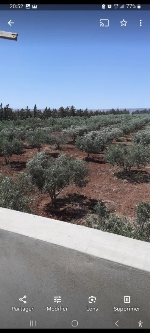Vente Terrain Agricole Oran Es senia