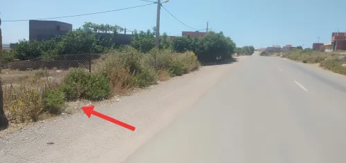 Vente Terrain Tlemcen Marsa ben mhidi