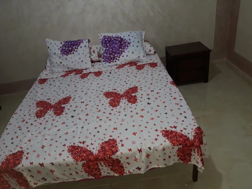 Location Appartement F2 Alger Alger centre