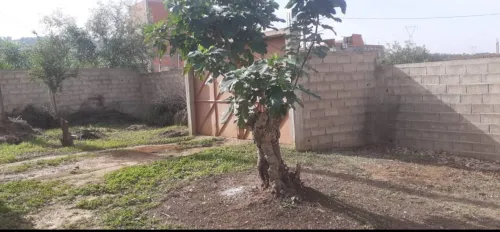 Vente Appartement F4 Skikda Azzaba