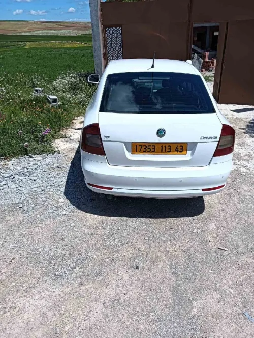 Skoda Octavia 2013 Octavia