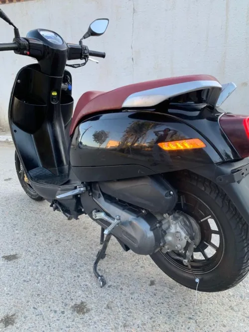 Benelli Panarea 2023