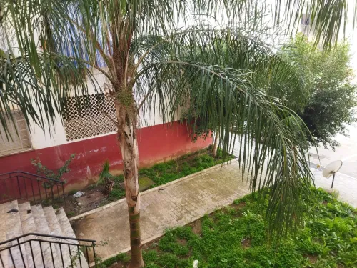 Vente Appartement F3 Blida Bouinan