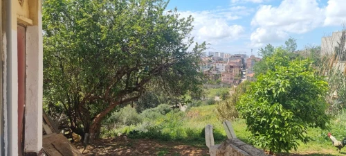 Vente Terrain Alger Ain naadja