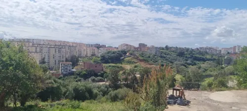 Vente Terrain Alger Ain naadja