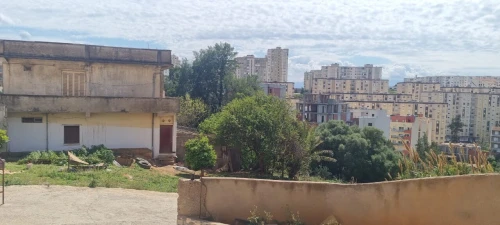Vente Terrain Alger Ain naadja