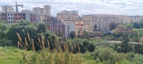 Vente Terrain Alger Ain naadja