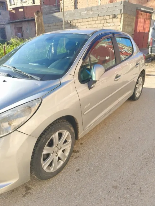 Peugeot 207 2009 Premium