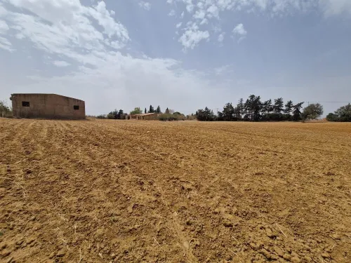 Vente Terrain Agricole Mostaganem Sidi lakhdaara