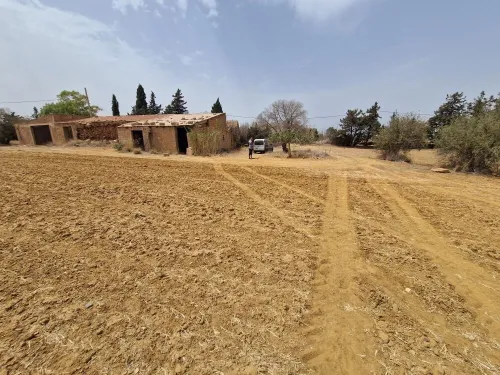 Vente Terrain Agricole Mostaganem Sidi lakhdaara